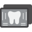 X-ray Icon